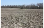 Property photo 4 - 200+/- Acre Land Auction in Gibson County, Indiana